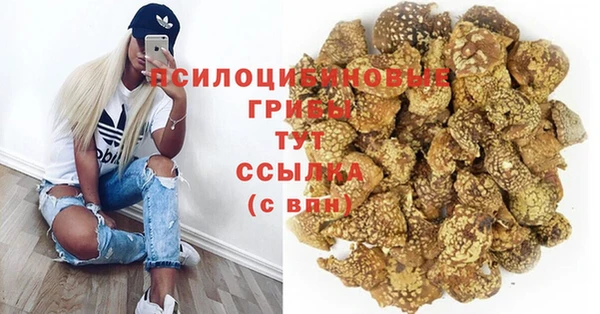 амф Белоозёрский