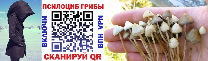 Псилоцибиновые грибы GOLDEN TEACHER  купить закладку  Няндома 